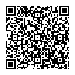 刚好就看到那个邻居家的老爷爷把一盆看样子已经要完全枯死的花从家里拿了出来二维码生成