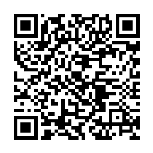 刚好昨晚附近的精灵铁卫都去了东部搜索所谓的魔鬼二维码生成