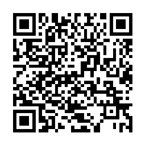 刚好是雷吉斯遗迹里突然出现大量邪恶生物的时候二维码生成