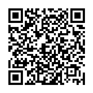 刚好看到了一些准传奇人物从传送门中进入了失落山庄二维码生成