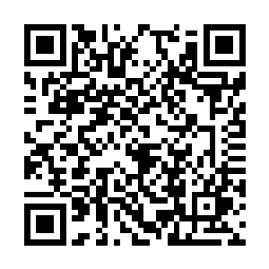 刚开始叶婉晴和苏海市特别行动处处长吵架的时候二维码生成