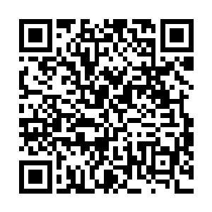 刚开始大家都在观看地灵族族长和燕山魂斗阵还没有什么二维码生成