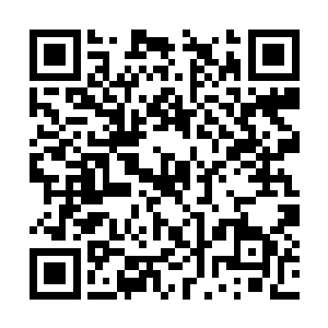 刚开始她还是等着一柄气剑爆裂之后再释放另一柄二维码生成