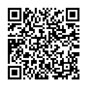 刚开始骂孙子轩是脑抽的年轻男子不屑的反驳道二维码生成