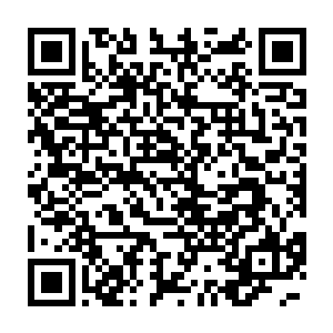 刚得到了一个笔记本电脑的豆豆和当初得到那款苹果手机的时候一样二维码生成