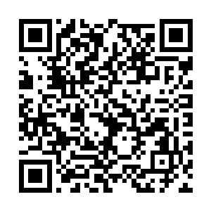 刚才一直说话气势最盛的男子目光冷冷的盯着萧易二维码生成