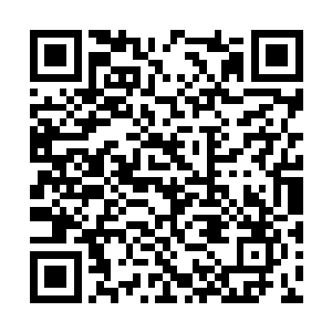 刚才他们受到攻击的地方应该就是这片花海的中心二维码生成