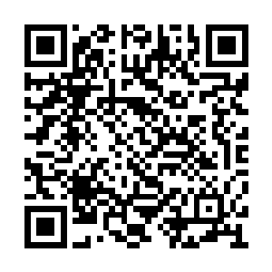 刚才他似乎是被一个跟他纠缠多年的仇人引走了二维码生成