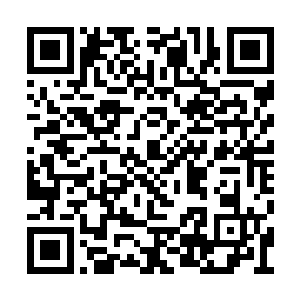 刚才他虽然从鬼王的口中得知了三件宝贝的事情二维码生成