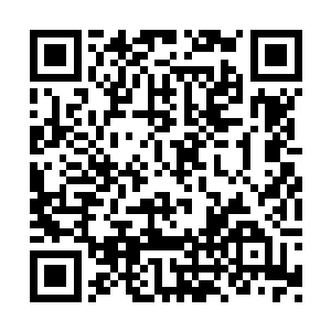 刚才他被李思辰身上散发出来的气势给震慑住了二维码生成