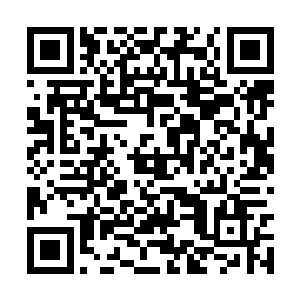 刚才你可是毫不犹豫取走了魂草然后杀了那三个人二维码生成