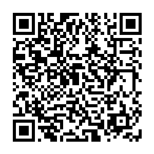 刚才你看到的那个胖子和胖子旁边的那个瘦子就是我经常拎出来狠揍的对象二维码生成