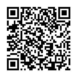 刚才在天方楼杀了星皇神殿的七个神将和子家的少爷二维码生成