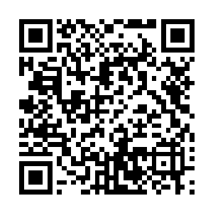 刚才在急诊科的走廊里她也注意到了这个光着膀子的年轻人二维码生成