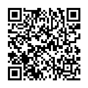 刚才就在他面前亲眼目睹才刚刚长出来的细细枝条二维码生成