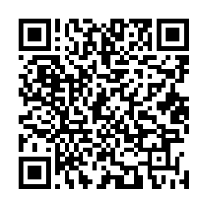 刚才我们一共拍卖了多少金额出去我怎么好像算不太出来了二维码生成