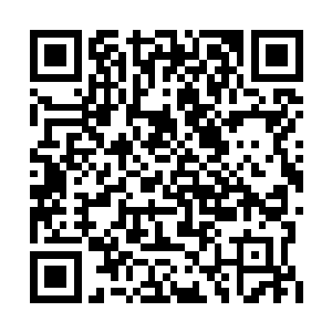 刚才我们两个都没察觉到小秋从房间里走了出来二维码生成