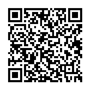 刚才我们在下面看到他已经将那个人类砸下去了二维码生成