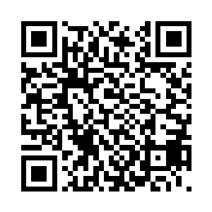 刚才我让我两个弟子一直跟着夏一天二维码生成