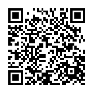 刚才所有人都看到四木的一拳已经打到他了才对啊二维码生成