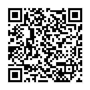 刚才施展剑雷锁链的弟子才放出了雷电锁链缠住我二维码生成