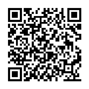 刚才沈秀老师明明说过是由三十六道铭纹构成的二维码生成