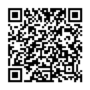 刚才清伊娜姑娘无端指责本妃和王爷指使珍宁公主刺杀她二维码生成