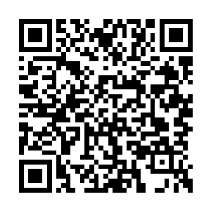 刚才的时候她还在想着杨风如果要是不同意的话二维码生成