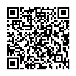 刚才的时候自己已经把丁羽说的名字解释给两位老人家听二维码生成