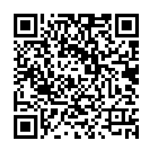 刚才的能量赫然是从混元星辰宝树上面散发出来的二维码生成