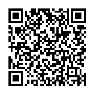 刚才盛耀日他们几个信誓旦旦说过的话还萦绕在众人耳边二维码生成