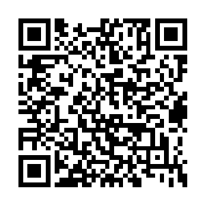 刚才短短的几秒钟的交手虽然双方都没使出全力二维码生成