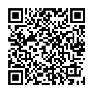 刚才第一个开口抱怨我和白奇雪秀恩爱的张小鹏再次开口道二维码生成