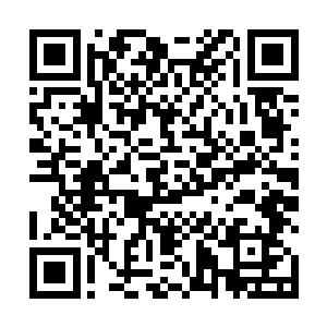 刚才肯定是有人将这里的消息传到了九公子的耳朵里了二维码生成