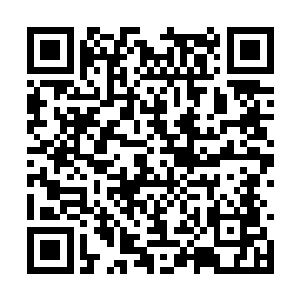 刚才苏墨尘的说那句话时她的心还是有点儿变化的二维码生成