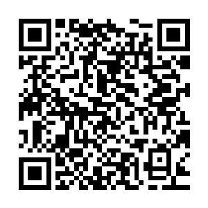 刚才许紫烟还可以自欺欺人地装作不知道・如今被自己说了出来二维码生成