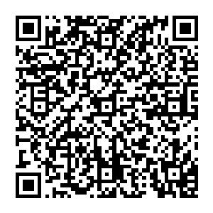 刚才跟他们一起出去的打猎的有几个跟那伤员关系不错的年轻猎手二话不说直接去跑去大山洞敲门二维码生成