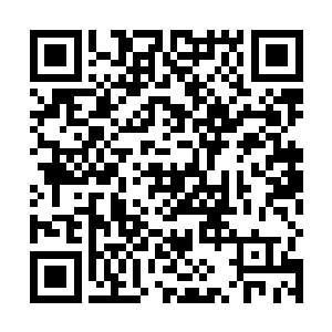 刚才还一副苦大仇深的小狼崽哥哥立马循着声音探过去二维码生成