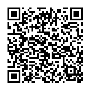 刚才还一副视死如归样子的力易像是沐浴了春风细雨一般立刻抖擞起来二维码生成