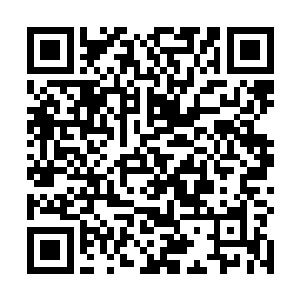 刚才还在怀疑夏天实力的那些七级海盗团的团长也蒙了二维码生成