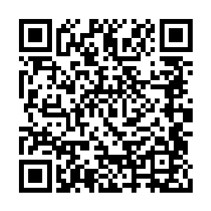 刚才还趾高气昂不跟给林烽换歌曲的导演李冬青二维码生成