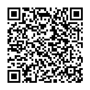 刚才这个小队被默许来拿粮食的过程也被对面的曰军看的一清二楚二维码生成