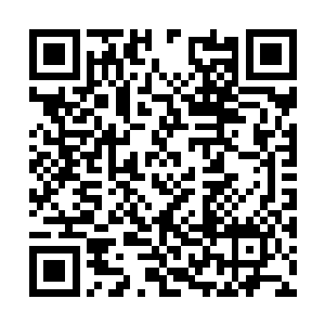 刚才这家伙可是放了不下于十几种材料在这锅汤内二维码生成