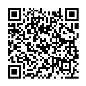 刚才马元义大师的那枚丹药应该就是被200号拍走的二维码生成