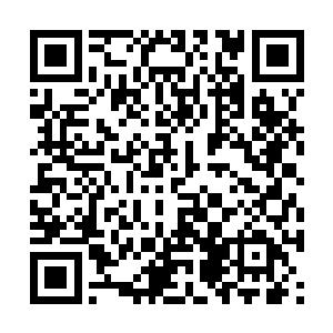 刚收了人家一件优质大衣的严默决定稍微回馈一下二维码生成