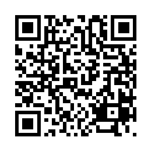 刚果雨林和亚马逊雨林的环境可是还不一样二维码生成