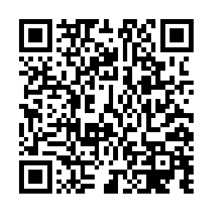 初中的时候我记得我看马浩南他们的时候也就是这种眼神二维码生成