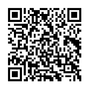 利用六臂指挥保护圣树的天性命中一发原初之枪二维码生成