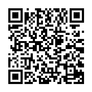 利用刚刚对付那黑色触手的方法来对付这巨型蠕虫了二维码生成