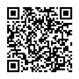 利用类似于马甲的褶皱设计将腰身完全勾勒出来二维码生成